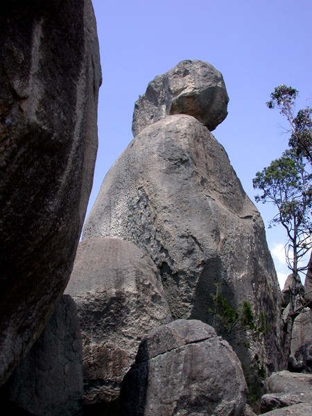 The Sphinx